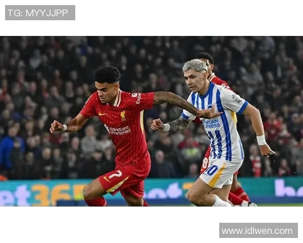 2018年布莱顿对阵利物浦比赛推荐及精彩分析