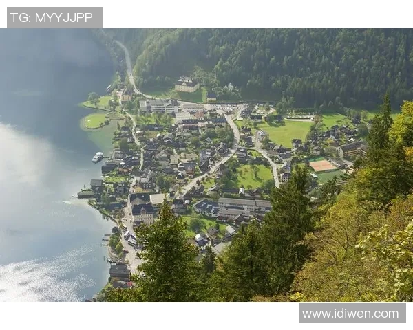 德国与奥地利精彩赛事直播全程回顾与分析尽在这里