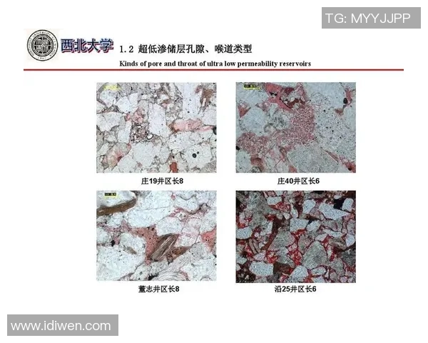 重庆篮球队边路渗透战术分析及其对比赛结果的影响探讨